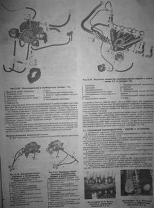 P1020291.jpg
