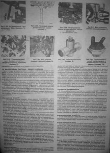 P1020290.jpg