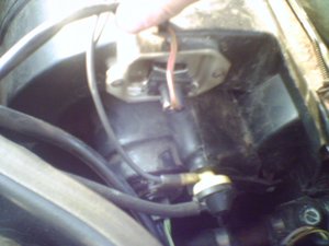 audi2.jpg