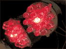 modul.gif