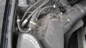 PA301588.jpg