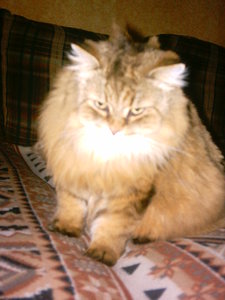 IMAG0195.JPG