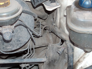 HPIM0518.JPG
