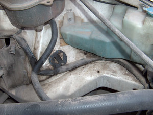 HPIM0519.JPG