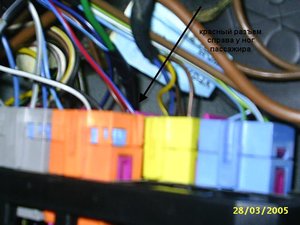 pic_0109.jpg