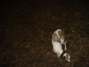 DSC00044.JPG