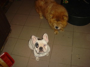 DSC00125.JPG