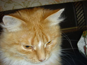 DSC00142.JPG