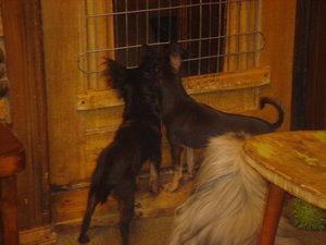 DSC00170.JPG