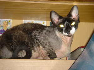 DSC00001.JPG