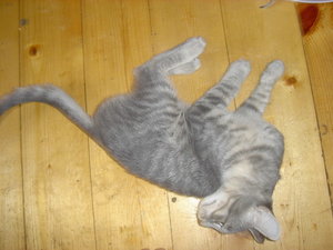 DSC00178.JPG
