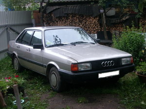 IMGP384711.jpg