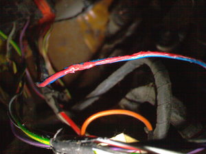IMG295.jpg