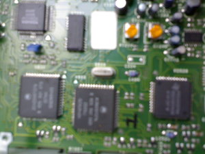 06042009549.jpg