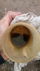 DSC_1125.JPG