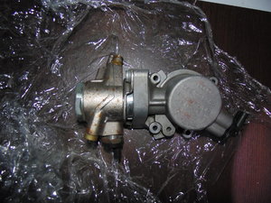 DSC01495.JPG