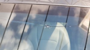 20170530_153711[1].jpg