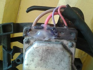 20170529_155900.jpg