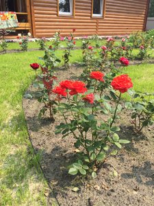IMG_1467.JPG
