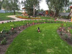 IMG_1469.JPG
