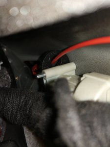 IMG_20170605_120059.jpg