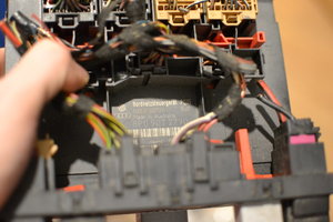 DSC_0783.JPG