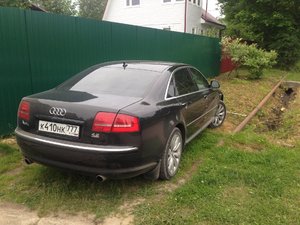 IMG_2802.JPG