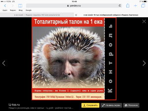 IMG_3062.PNG