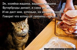 905879.jpg