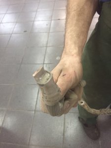 IMG_5952.JPG