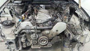 20170615_105517.jpg