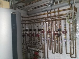 IMG_20170622_134446.jpg