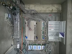 IMG_20170622_140124.jpg