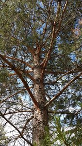 IMG-20170628-WA0001.jpeg