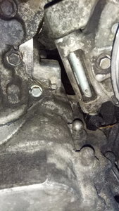 P70530-155300.jpg