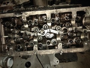 IMG_20170625_115902.jpg
