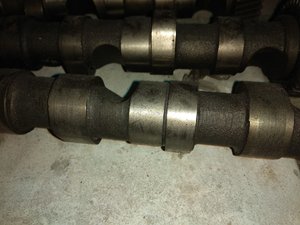 IMG_20170625_115932.jpg