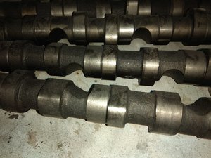 IMG_20170625_115939.jpg