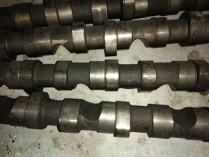IMG_20170625_115944.jpg