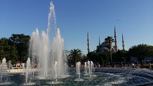 20170630_190816.jpg