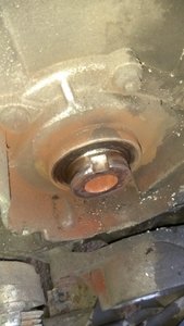 IMG_20170628_192924.jpg