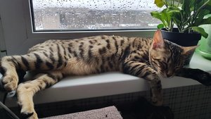 20170423_134509.jpg