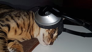 20170426_090756.jpg