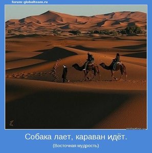 f768a9d4c776595b363d2e42e38378a1.jpg