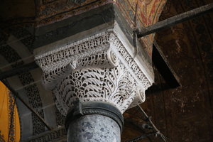 IMG_3517.JPG