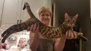 20170608_223817.jpg