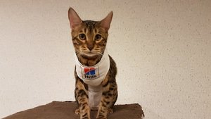 20170701_234055.jpg