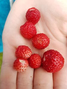 IMG-20170703-WA0000.jpg