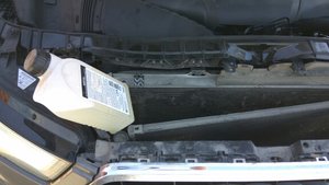 IMG_20170703_105832.jpg