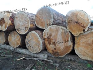 595dab1f68552_SAM_0089 2.jpg